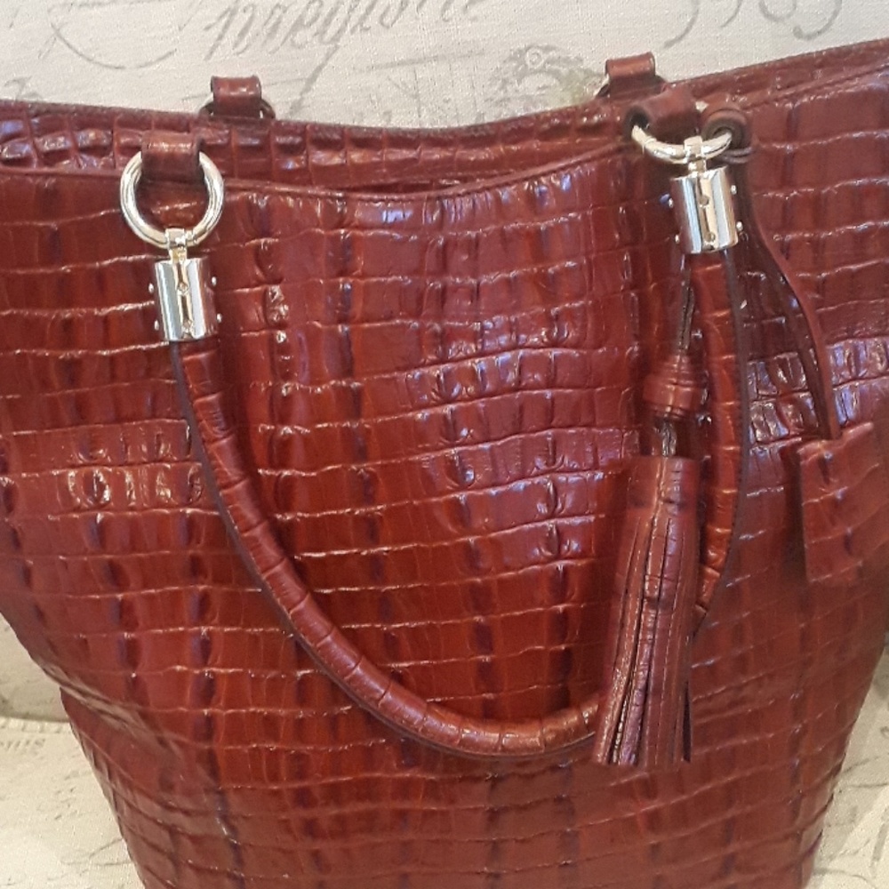 Brahmin - Picture 2 of 6